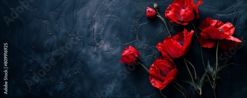 Vibrant red poppies on dark navy blue slate background. 8k panoramic moody and dramatic floral flat lay banner backdrop for themes of beauty or remembrance like Veteran's Day or Memorial Day © PromptrGuru
