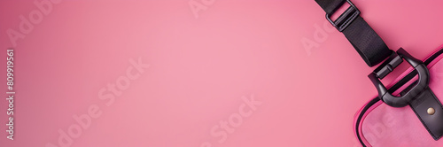 Travel luggage belt web banner. Travel luggage belt isolated on pink background with copy space. © Banner Brian