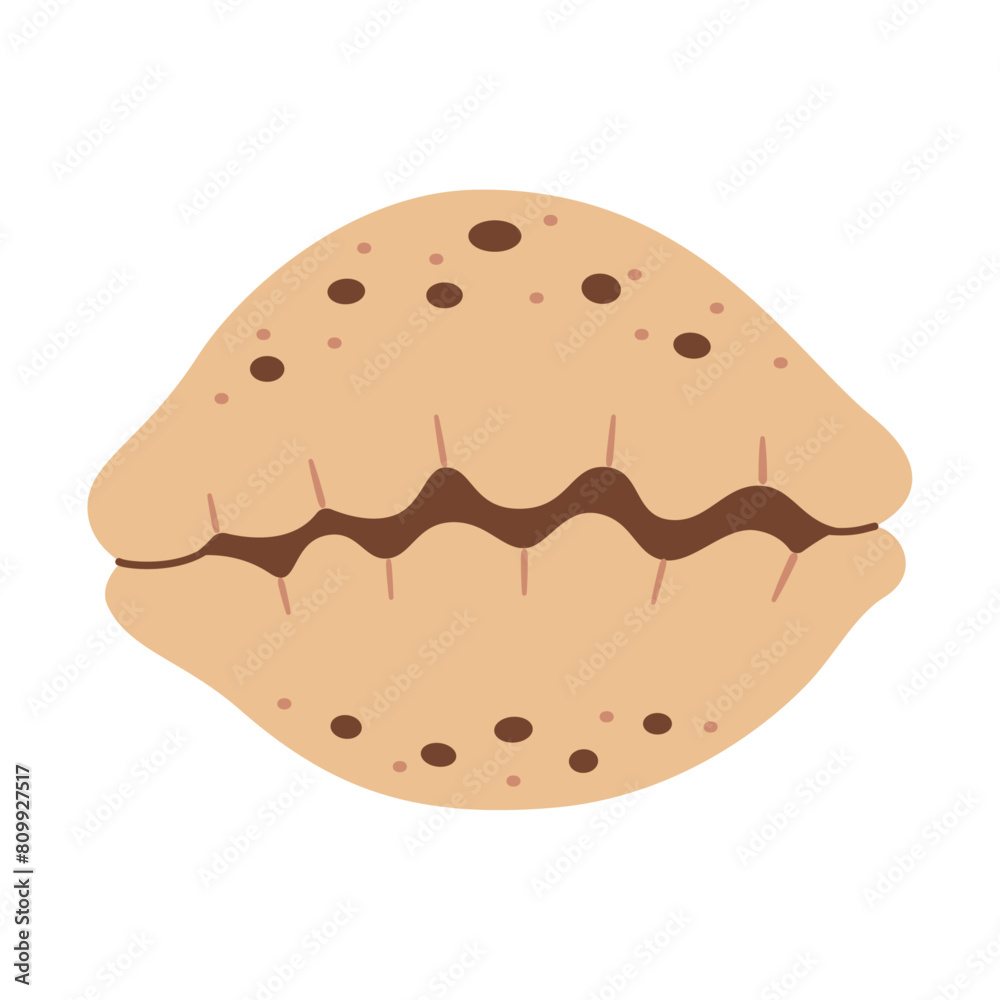 Hand drawn Tiger Cowrie Seashell. Trendy flat style seashell illustration. Souvenir seashell isolated on white background. Vector illustration Hand drawn Tiger Cowrie Seashell. Trendy flat style seashell illustration. Souvenir seashell isolated on white background. Vector illustration