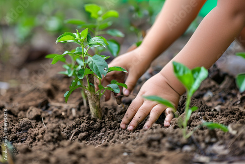 Little hands planting a tree close-up on nurturing nature 