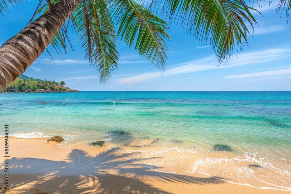 Beach: Crystal Clear Waters and Coconut Trees. Stunning Destination