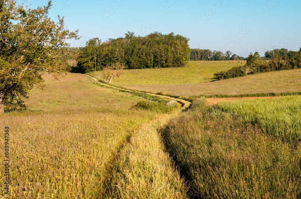 Winding farm track through pastures, meadows and fields at Nabirat in the Dordogne region of France Winding farm track through pastures, meadows and fields at Nabirat in the Dordogne region of France