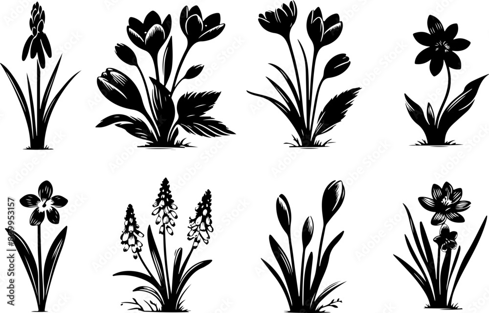 Set de fleurs du printemps - été a ajuster, vecteur noir fond transparent
