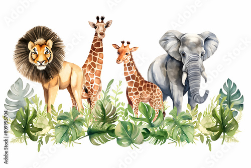 wild animals and plants on white background illustration
