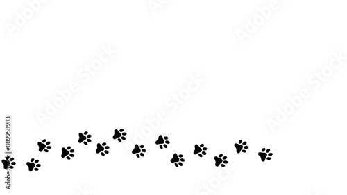 dog paw, cat paw trail print isolated on white background. 4k animated video