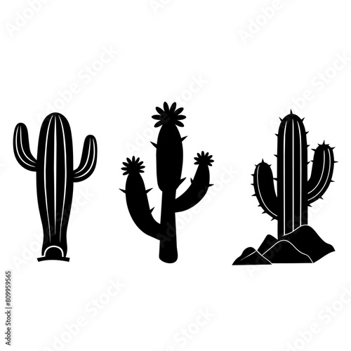 Vector set of cacti. Cactus black silhouette.