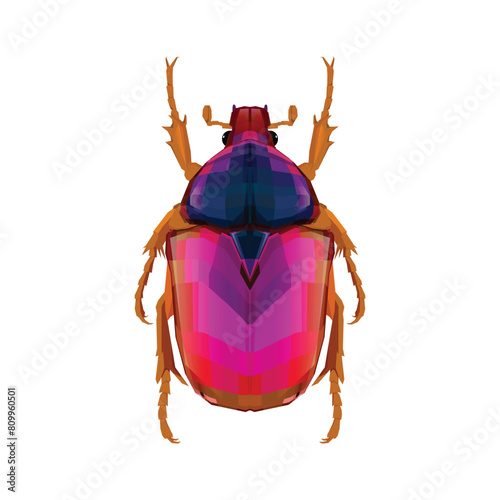 Vector illustration of a pink dung beetle