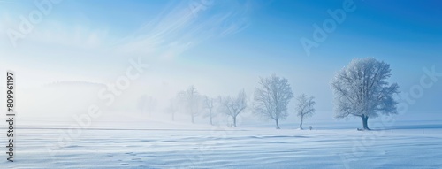 Serene Winter Morning with Frosty Trees in Fog