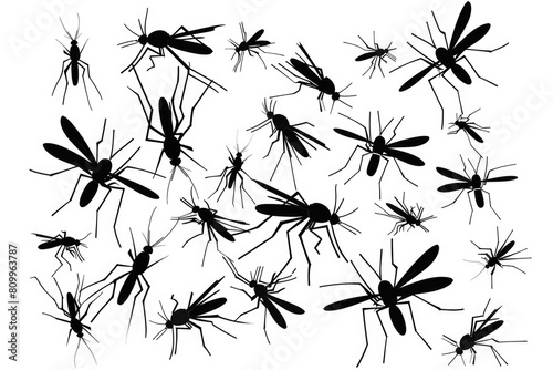A group of black and white mosquitos. Suitable for pest control advertisement photo