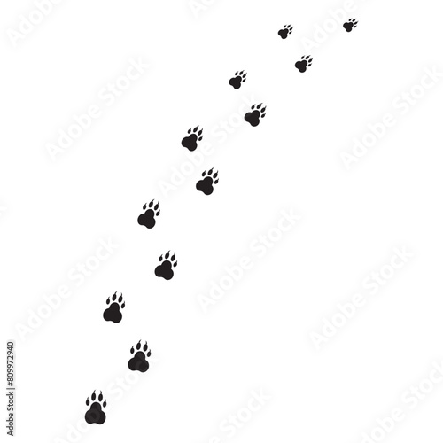 Animal paw prints pattern. Scattered footprints. Vector illustration. © Лена Полякевич
