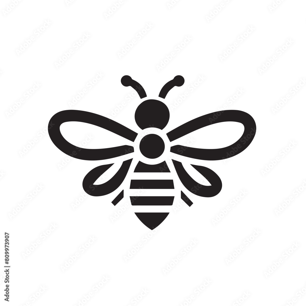 black and white bee