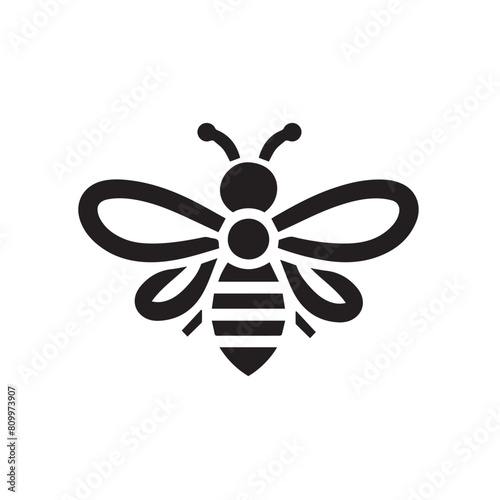 black and white bee