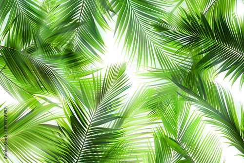 Palm Leaves  Tropical palm fronds swaying in the breeze  Seamless pattern illustration 