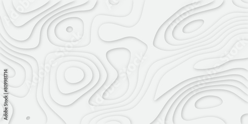 Abstract background with waves. Abstract papercut and multi layer cutout geometric pattern on vector, Abstract soft white background with waves, textured Papercut | background | abstract background.