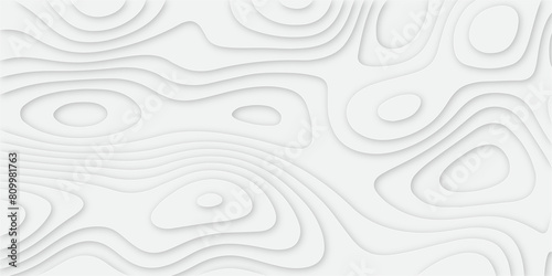 Abstract background with waves. Abstract papercut and multi layer cutout geometric pattern on vector, Abstract soft white background with waves, textured Papercut | background | abstract background.