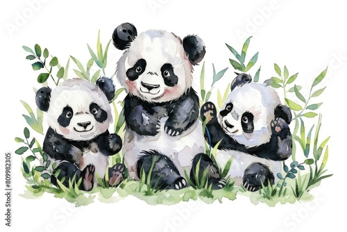 Three panda bears sitting in grass. Suitable for wildlife and nature concepts photo