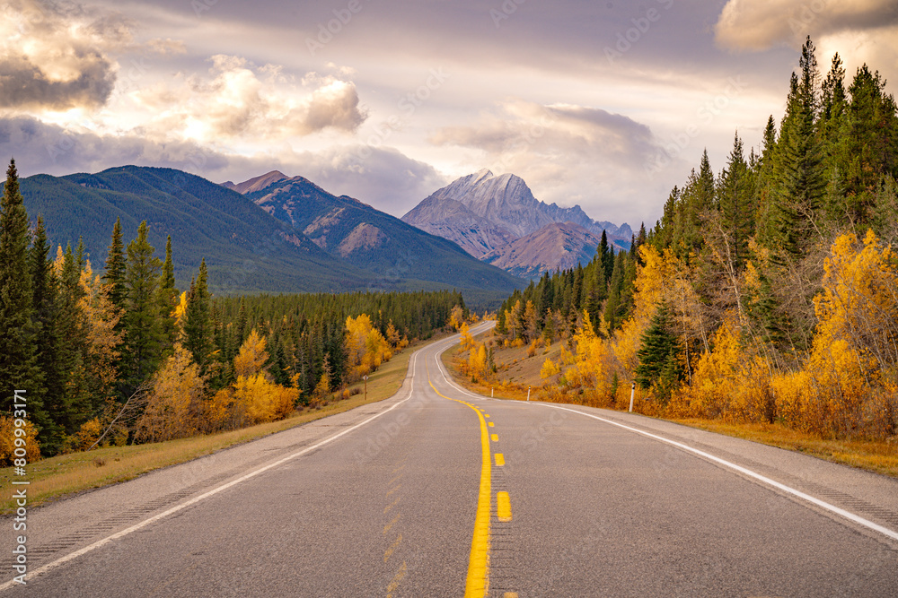 Fototapeta premium Kananaskis Road