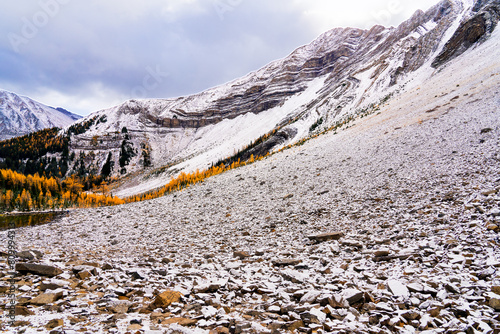 Pocaterra Ridge Trail photo