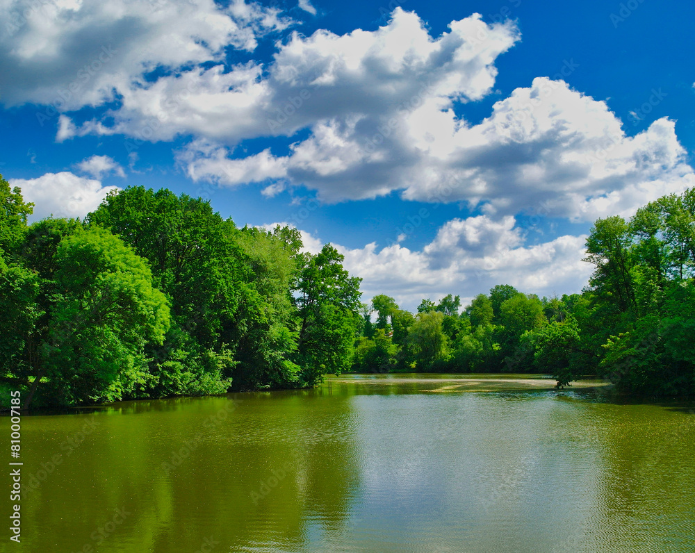 Summer landscape, the river in the park, tree in the park Summer landscape, the river in the park, tree in the park