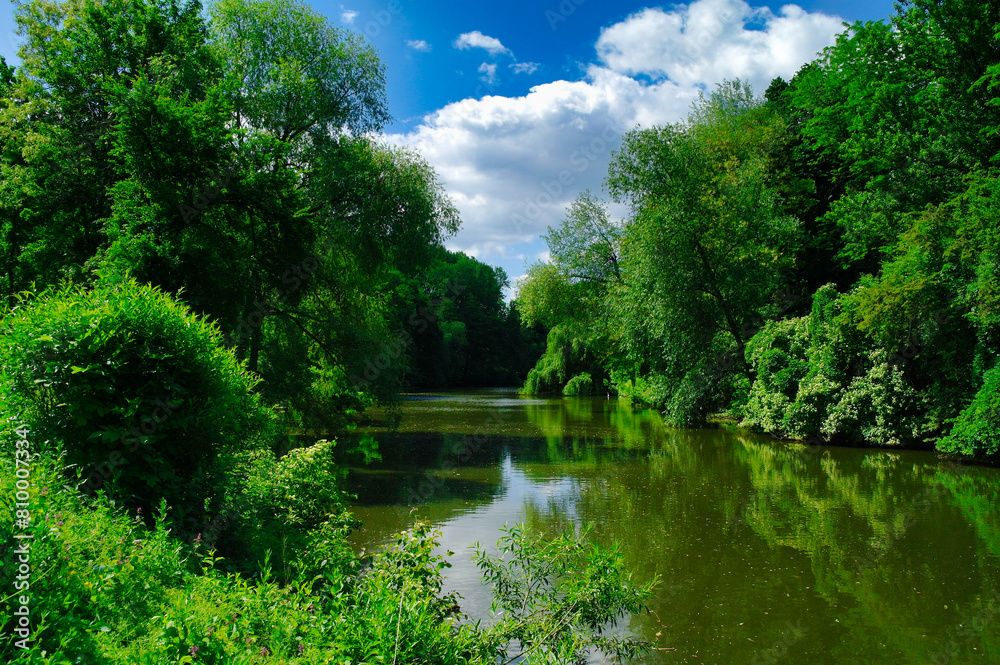 Summer landscape, the river in the park, tree in the park