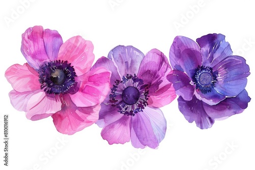 Beautiful flowers on a clean white background. Perfect for floral designs