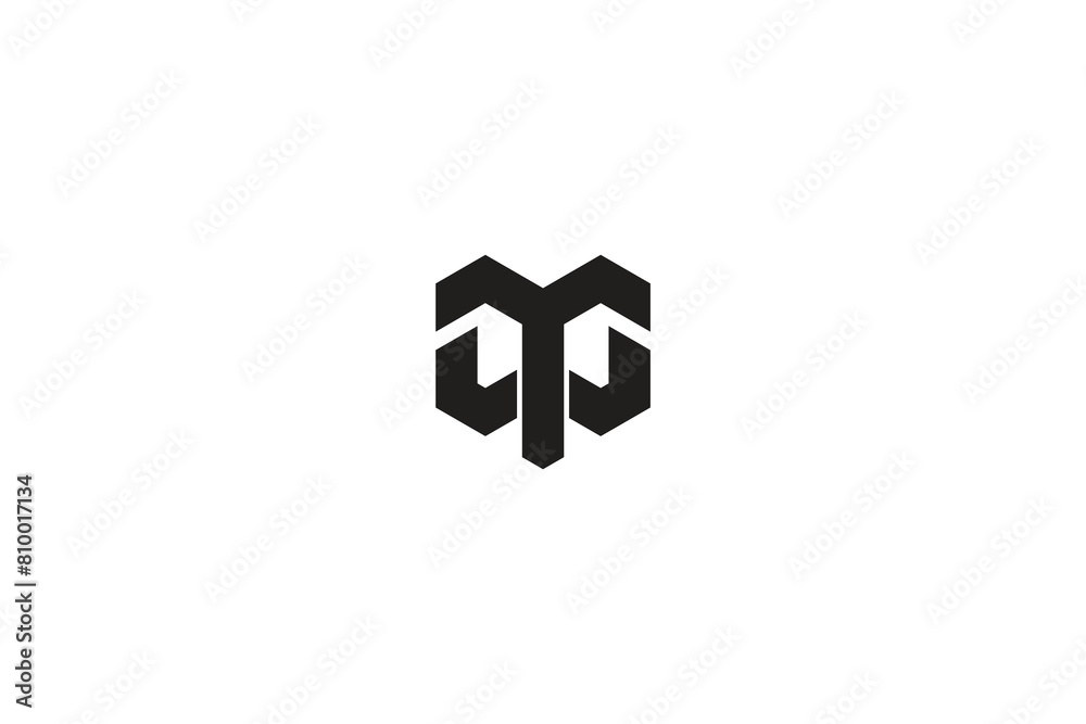 Creative Letter MT OR MT Logo design vector illustrator ,or letter TM OR MT business monogram logo design Creative Letter MT OR MT Logo design vector illustrator ,or letter TM OR MT business monogram logo design