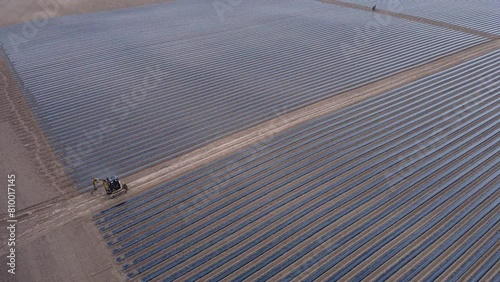system of drip irrigation of fields, view from the height of a drone