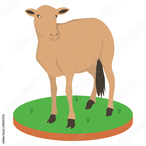 Illustration sacrifical animal or qurban animal to celebrate eid al adha. Can be used for websites, banners, posters, flyers. Qurban Animals Collection photo