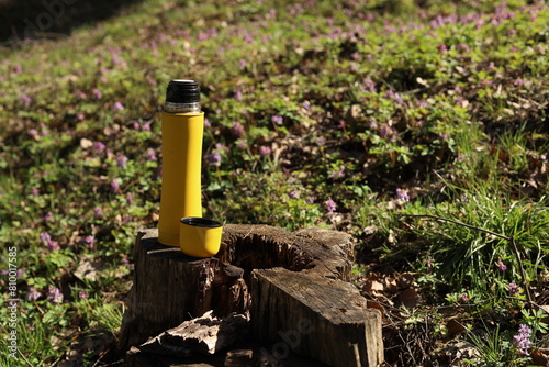 yellow thermos on a stump on a lawn in the forest outdoors