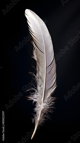 Mewtalic feather, metal feather, lightweight metal feather, feather made from metal