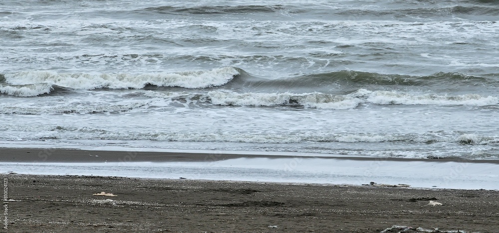 Naklejka premium Bird standing in shallow beach waters