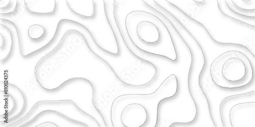 Papercut shape abstract white background, Geographic mountain contours vector abstract background, Vector abstract white paper cut banner, topographic contours map background. photo