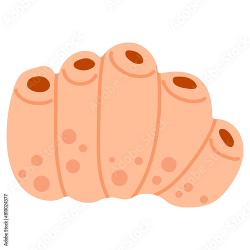 Coral vector illustration doodle drawing, isolated marine coral plant in shades of pink and orange color.