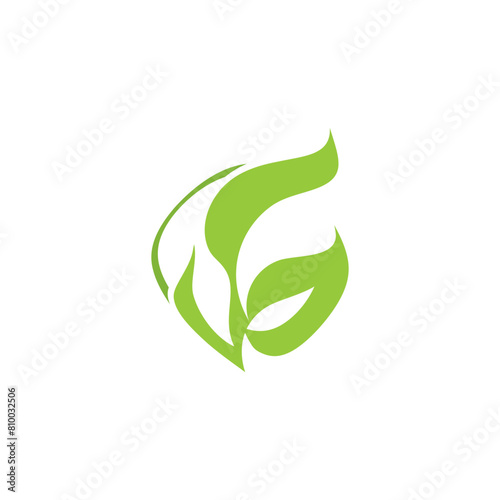 Leaf Nature Logo Design Template Vector