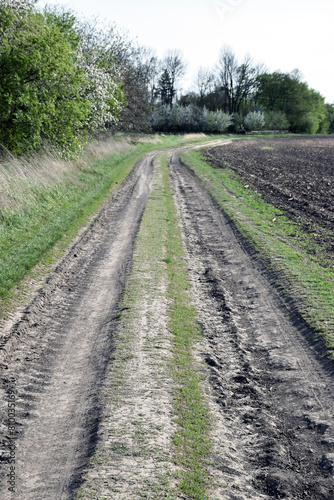 Dry dirt road with ruts from cars in perspective near a field