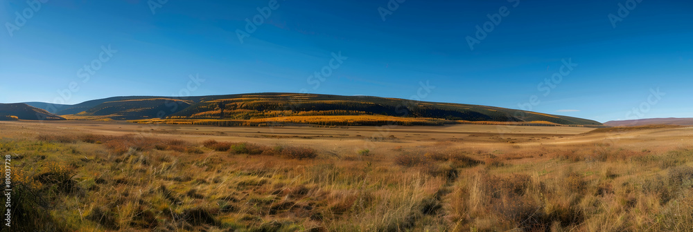 A panoramic view of the steppes transitioning into autumn, the grasses turning from green to shades of gold and brown