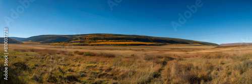 A panoramic view of the steppes transitioning into autumn  the grasses turning from green to shades of gold and brown