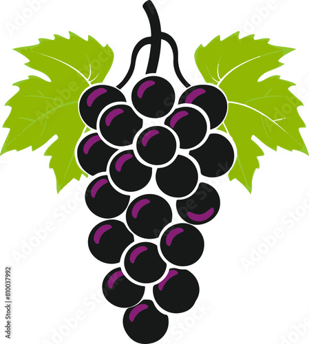 Colorful Grape Cluster with Green Leaves, Vector Illustration for Food and Drink