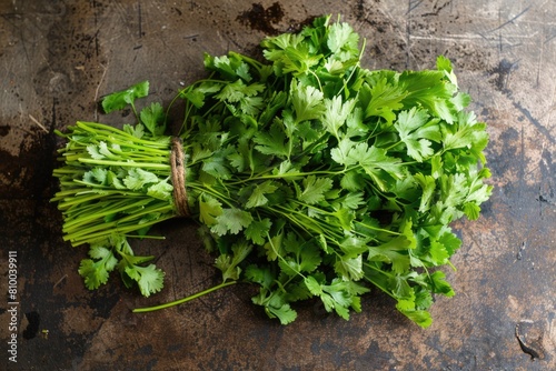 Fresh Bunch of Epazote - Raw Organic Mexican Herb for Seasoning in Green Tones in Studio Setting photo