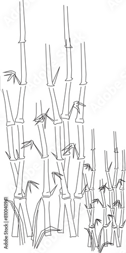 Detailed vector sketch illustration design of shrub bamboo plant tree