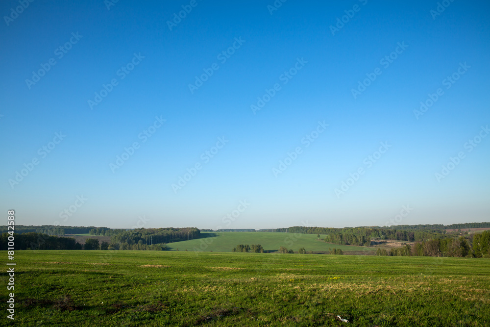 Vast grassland under a clear blue sky, creating a natural landscape Vast grassland under a clear blue sky, creating a natural landscape