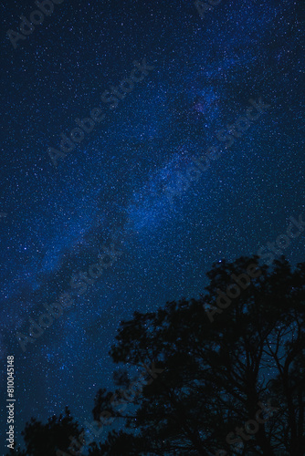 Starry night sky with Milky Way galaxy  bright stars against dark backdrop. Silhouetted trees suggest woodland setting. Serene  tranquil mood. Perfect for stargazing enthusiasts.