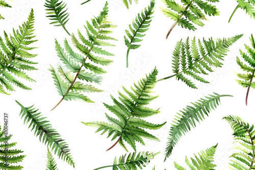 Watercolor Ferns  Delicate fern leaves  Seamless pattern illustration 