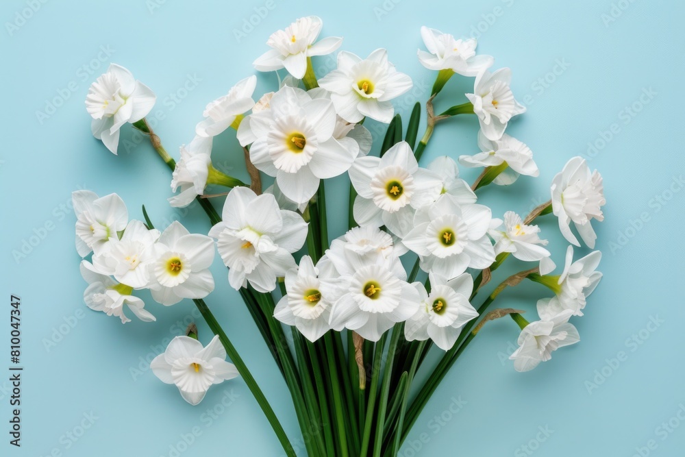 White flowers arranged on a blue background, perfect for spring or nature themes White flowers arranged on a blue background, perfect for spring or nature themes