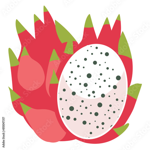 Dragon fruit vector illustration, buah naga isolated on white background, pitaya clipart, pitahaya image
