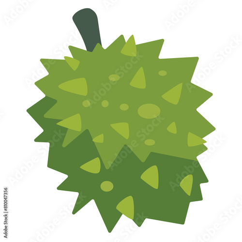 Durian vector image, asian tropical fruit, king of fruits illustration, duren or duryoen isolated on white background, durean or dorian clipart photo