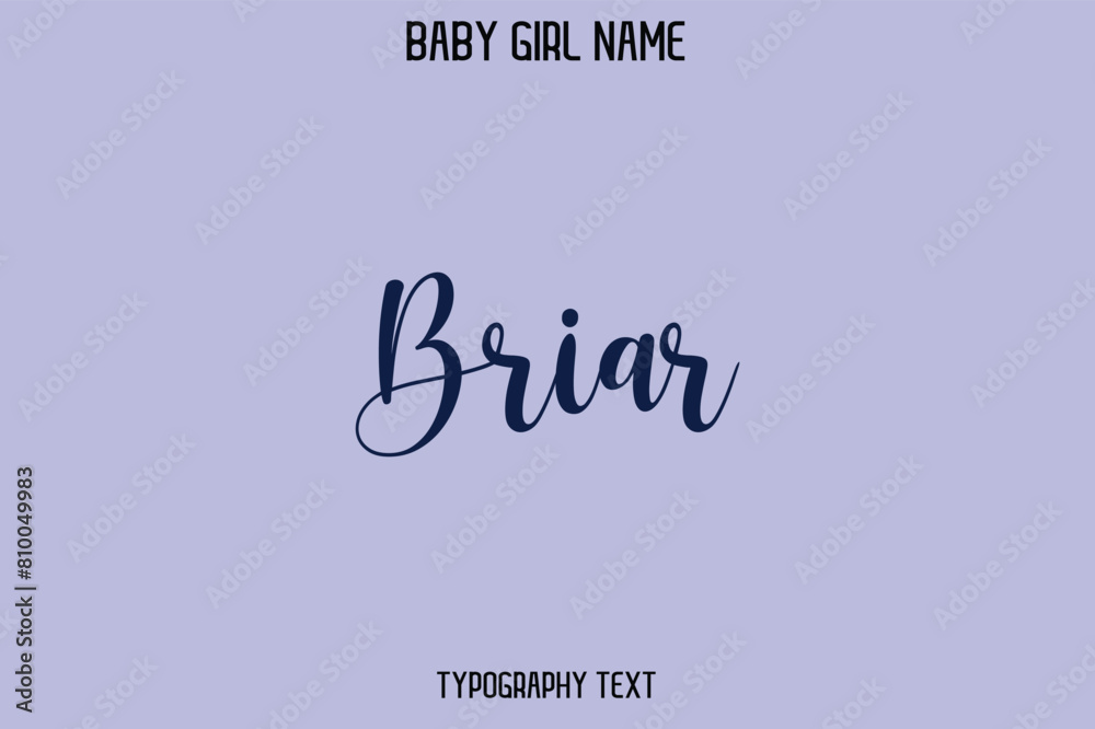 Briar Woman's Name Cursive Hand Drawn Lettering Vector Typography Text Briar Woman's Name Cursive Hand Drawn Lettering Vector Typography Text