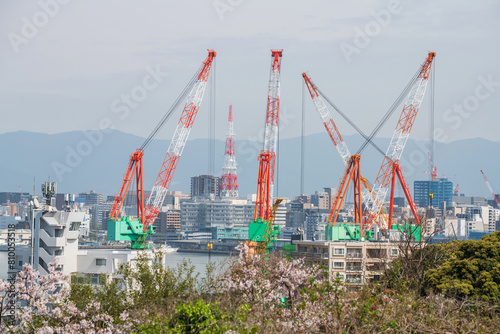 crane by sea with pink cherry blossom at Hataka Fukuoka port © Blanscape