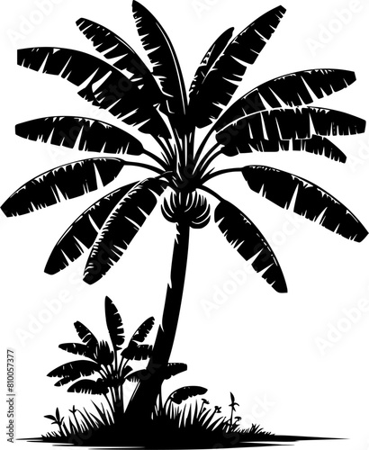 Banana tree silhouette