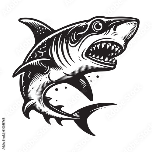 Shark , Shark silhouette , shark black and white ,Logo of a shark illustration